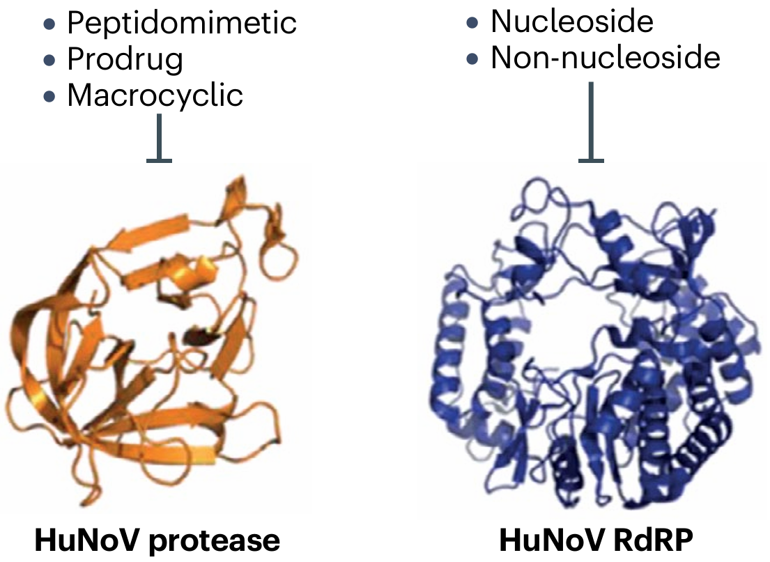 small_molecule_inhibitor_1