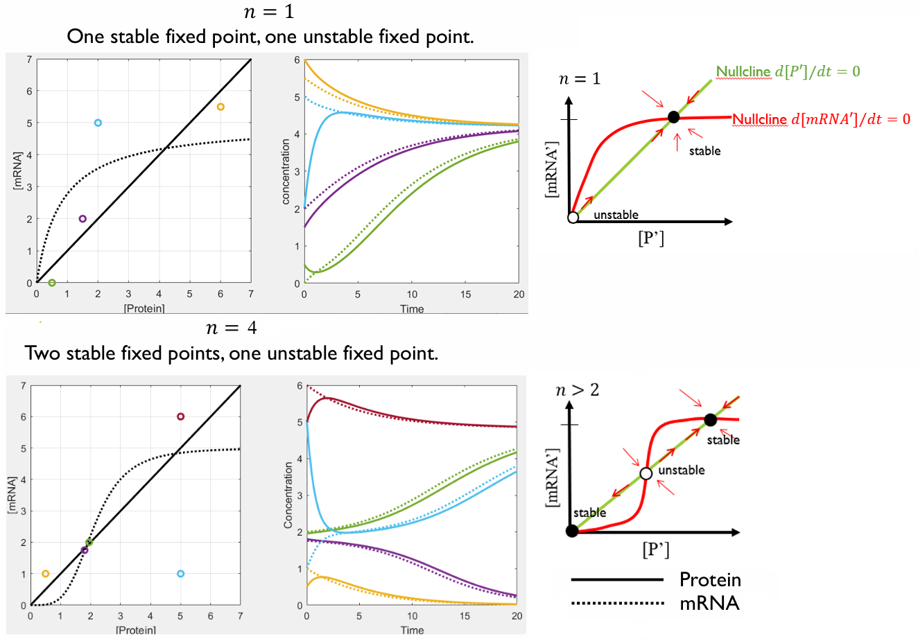 mass_rule_simulation